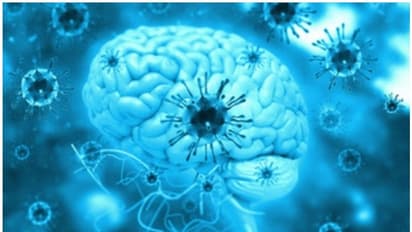 കോഴിക്കോട് നാല് വയസുകാരന് ജപ്പാന് ജ്വരം സ്ഥീരികരിച്ചു; തുടര് പരിശോധനക്കായി സാമ്പിള് പൂനെയിലേക്ക് അയച്ചു