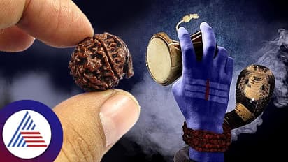  రుద్రాక్షలను ధరించి ఇక్కడికి అస్సలు వెళ్లకూడదు.. ఒకవేళ వెళ్లారో ఎంతో నష్టపోతారు జాగ్రత్త.. 