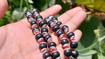 நீங்கள் வாங்கிய கருங்காலி மாலை உண்மையானதா? கண்டுபிடிக்கும் எளிய வழி இதோ..!!