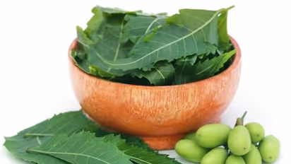 5 incredible benefits of using Neem for our Skin