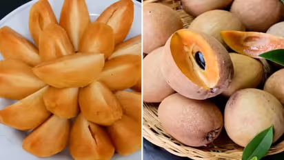 Sapodilla: tropical treasure revealing 5 surprising health benefits