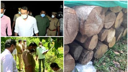 മുട്ടിൽ മരം മുറിക്കേസ്; മുറിച്ച് കടത്തിയതിൽ 500 വര്‍ഷത്തിലേറെ പഴക്കമുള്ള മരങ്ങളും, പൊലീസിന്‍റെ കുറ്റപത്രം ഉടൻ