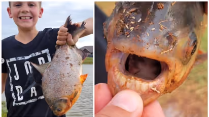 മനുഷ്യന്‍റെ പല്ലുകളോട് സാമ്യം; ചാര്‍ളി പിടികൂടിയ മത്സ്യം 'പാക്കു', പിരാനയുടെ ബന്ധു ! 