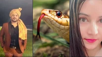 யூடியூப்பில் கிரைம் நிகழ்ச்சிகளை பார்த்து நல்ல பாம்பை கடிக்க வைத்து கொன்ற காதலி! புது காதலனுடன் எஸ்கேப்.!