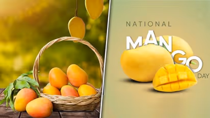 National Mango Day 2023: Embrace tropical splendour of the King of Fruits