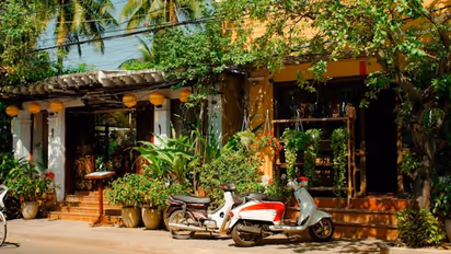 Vegetal Canopies: 6 ways to bridge gap between urban hussle and nature