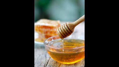 தினமும் தேன் சாப்பிடுங்க...எடை குறையும்...மாரடைப்பு வராது...உடனே ட்ரை பண்ணுங்க..!!