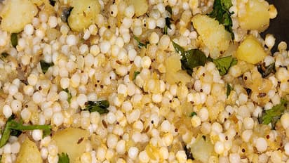 Chaitra Navratri 2024 fasting rules: Look at what you can eat and what to avoid during nine days