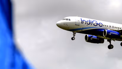 INDIGO