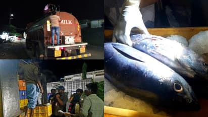 'നല്ല ഭക്ഷണം നാടിന്റെ അവകാശം', ഒന്നര മാസത്തിൽ നടത്തിയത് അയ്യായിരത്തിലേറെ പരിശോധനകൾ, പിഴ ഈടാക്കിയത് ലക്ഷങ്ങൾ