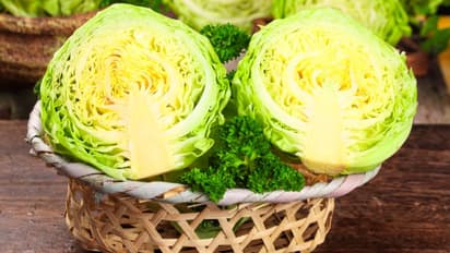 കാബേജ് കഴിക്കാന് ഇഷ്ടമാണോ? അറിയാം ഇക്കാര്യങ്ങള്...