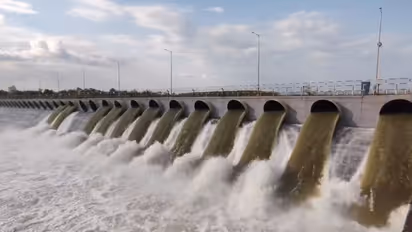 తెలంగాణలో విస్తారంగా వర్షాలు.. జలకళను సంతరించుకున్న నీటి పారుదల ప్రాజెక్టులు