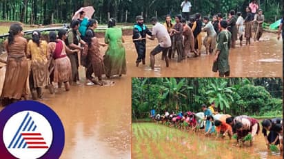 ಕೆಸರುಗದ್ದೆಯಲ್ಲೇ ಪಾಠ - ಕೃಷಿ ಮಾಡುವ ಮಹಿಳೆಯರೇ ಗುರುಗಳು!