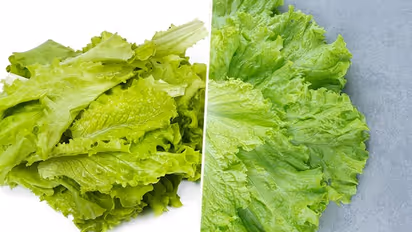 Digestive health to heart health: 5 benefits of eating Lettuce