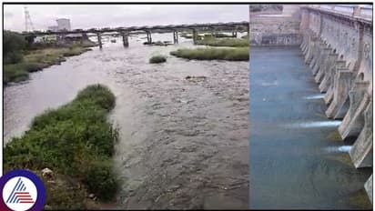 கர்நாடகா அணைகளில் இருந்து தமிழகத்திற்கு தண்ணீர் திறப்பு; காவிரி நீர்பிடிப்பு பகுதிகளில் நிலவரம் என்ன?  