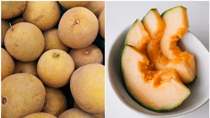 Delicious and Nutritious: Unveiling the health benefits of Cantaloupe