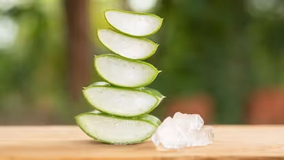 Cooling to Moisturizing: 5 surprising benefits of Aloe Vera for your Eyes