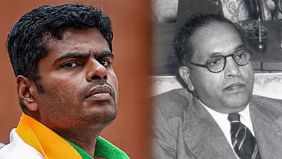 நீதிமன்றத்தில் அண்ணல் அம்பேத்கருக்கு நிச்சயம் விதிவிலக்கு வேண்டும்: அண்ணாமலை வலியுறுத்தல்