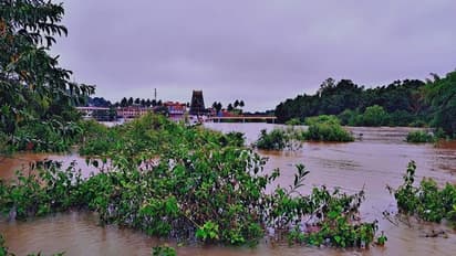 ಚಿಕ್ಕಮಗಳೂರಲ್ಲಿ ಮಳೆ ಆರ್ಭಟ: ರಸ್ತೆ ಸೇತುವೆಗಳ ಸಂಪರ್ಕ ಕಡಿತ, ಪ್ರವಾಹದ ಭೀತಿ