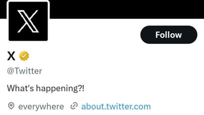 మస్క్ అన్నంత పని చేసేశాడు...ట్విట్టర్ నుంచి తుర్రుమన్న బ్లూ పిట్ట...ఇకపై X లోగోతో ట్విట్టర్ రీ బ్రాండింగ్..