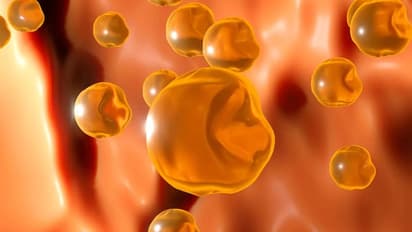 കൊളസ്ട്രോള്‍ കുറയ്ക്കാന്‍ ഈ ഒരൊറ്റ നട്സ് കഴിക്കൂ; അറിയാം ഗുണങ്ങള്‍...