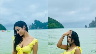 ഗ്ലാമറസായി പ്രിയ വാര്യര്‍, ബിക്കിനി ഫോട്ടോകളെ വിമര്‍ശിച്ചും അനുകൂലിച്ചും ആരാധകര്‍