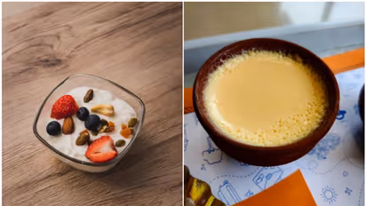 Incredible health benefits of Curd: A probiotic powerhouse for wellness