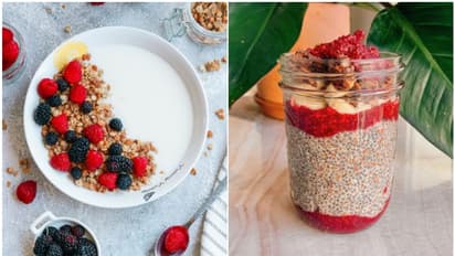 Greek Yogurt to Chia Seeds: 7 delicious and nutritious Snack Ideas for successful dieting