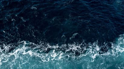 5 precaution for oceans: How to take a serene dip safely