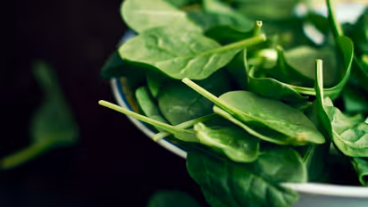 പതിവായി പാലക് ചീര കഴിക്കുന്നതു കൊണ്ടുള്ള ഗുണങ്ങള്...