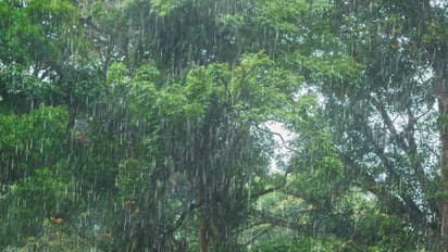 ಕರ್ನಾಟಕದಲ್ಲಿ ಮುಂದಿನ 4 ದಿನ ಭಾರೀ ಮಳೆ..!