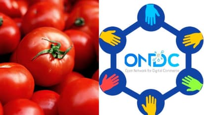 സബ്സിഡിയുള്ള തക്കാളി ഇപ്പോൾ ഓൺലൈനിൽ; ലഭിക്കുക രണ്ട് കിലോ മാത്രം