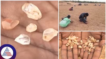 ವಿಜಯನಗರ ಸಾಮ್ರಾಜ್ಯದ ಸಂಪತ್ತು ಕರ್ನೂಲು ಕೃಷಿ ಭೂಮಿಯಲ್ಲಿ ಪತ್ತೆ?: ವಜ್ರ ಹುಡುಕಲು ಮುಗಿಬಿದ್ದ ಜನ