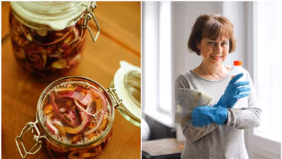 Vinegar: Deodorizer to Ant Repellant, 7 surprising household uses beyond kitchen