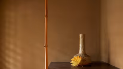 Explore the magic of WABI-SABI