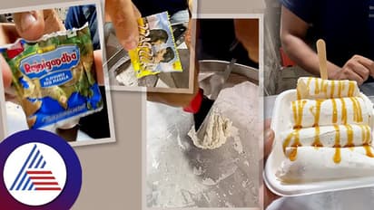 Omg..! ರಜನಿಗಂಧ ಪಾನ್ ಮಸಾಲಾ ಫ್ಲೇವರ್ ಐಸ್ ಕ್ರೀಂ ಇದಂತೆ!