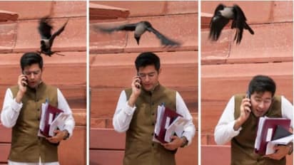 పార్లమెంట్ ఆవరణలో రాఘవ్ చద్దా తలపై తన్నిన కాని.. ఫొటో వైరల్.. బీజేపీ సెటైర్లు..