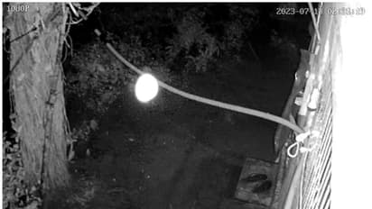 ദേഹത്ത് കരി ഓയിൽ, അടിവസ്ത്രം മാത്രം ധരിച്ച് മുഖം മൂടിധാരി; നാട്ടുകാരുടെ ഉറക്കം കെടുത്തി വീണ്ടും 'അജ്ഞാതൻ'