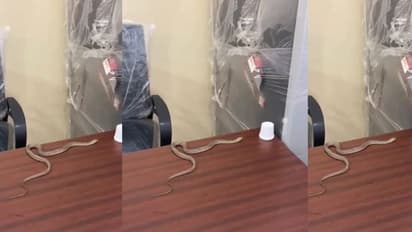 ஐதராபாத்தில் புகார் அளித்தும் பலனில்லாததால், பாம்புடன் வந்து போராட்டத்தில் ஈடுபட்ட நபர்! 