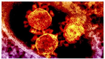 യുഎഇയില്‍ മെര്‍സ് വൈറസ് സ്ഥിരീകരിച്ചു