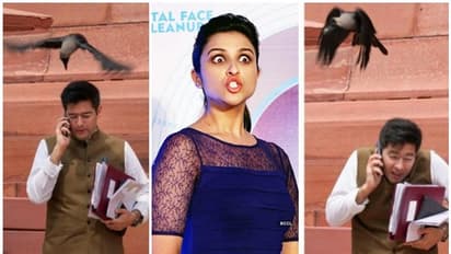 ಮದುವೆಗೆ ಮುನ್ನವೇ ಶುರುವಾಯ್ತಾ ಅಪಶಕುನ? ಆಪ್ ಸಂಸದ ರಾಘವ್ ಚಡ್ಡಾ ಮೇಲೆ ಕಾಗೆ ದಾಳಿ!