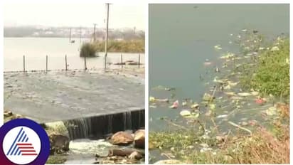 ಚಿತ್ರದುರ್ಗ ಜನರ ಪಾಲಿಗೆ ವಿಷವಾದ ಮಲ್ಲಾಪುರ ಕೆರೆ, ಸುತ್ತಮುತ್ತಲಿನ ಗ್ರಾಮದ ಜನರಿಗೆ ಸಂಕಷ್ಟ