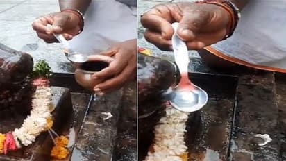 నీళ్లు తాగుతున్న నందీశ్వరుడి విగ్రహం... అత్తాపూర్లో వింత ఘటన.. (వీడియో)