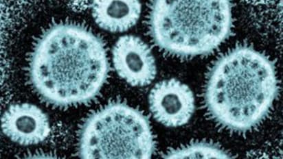  World Zoonoses Day 2024 :  എന്താണ് സൂനോട്ടിക് രോ​ഗം ? അറിയേണ്ടതെല്ലാം