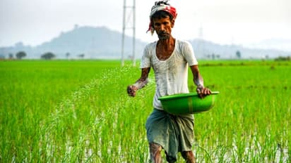 8.5 കോടിയിലധികം കർഷകരുടെ അക്കൗണ്ടുകളിലേക്ക് പണമെത്തി;  പിഎം കിസാൻ യോജന 14-ാം ഗഡു ലഭിച്ചോയെന്ന് എങ്ങനെ അറിയാം 