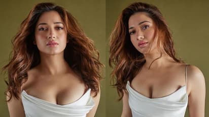 పవన్‌, ప్రభాస్‌, మహేష్‌, ఎన్టీఆర్‌, చరణ్‌లపై తమన్నా ఆసక్తికర వ్యాఖ్యలు.. సింపుల్‌గా తేల్చేసిన మిల్కీ బ్యూటీ!