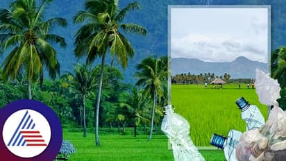 ಕೇರಳದ ಈ ಸುಂದರ ಹಳ್ಳಿಯೀಗ ಪ್ರವಾಸಿಗರ ಸ್ವರ್ಗ, ಊರವರಿಗೆ ಮಾತ್ರ ನರಕ!