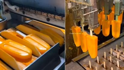 ഓറഞ്ച് ഐസ് സ്റ്റിക്ക് ഉണ്ടാക്കുന്നത് കാണണോ? ഇനി ഇത് കഴിക്കില്ലെന്ന് ആളുകള്‍; വീഡിയോ വൈറല്‍