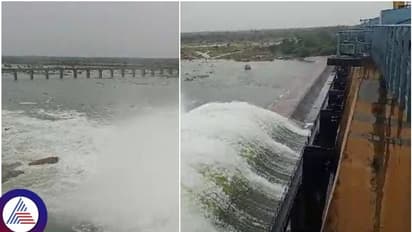 ಬತ್ತಿ ಹೋಗಿದ್ದ ಬಸವಸಾಗರ ಜಲಾಶಯಕ್ಕೆ ಬಂತು ಜೀವಕಳೆ: ಕೃ‍ಷ್ಣ ನದಿ ತೀರದಲ್ಲಿ ಪ್ರವಾಹ ಭೀತಿ