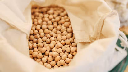 Hormone regulation to heart health: 5 benefits of eating Soyabean seeds